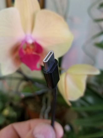 Продається якісний так необхідний багатьом перехідник USB Type-C на Mini jack 3.. . фото 4