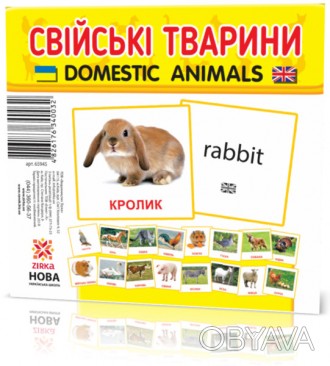 Набор мини карточек Домана