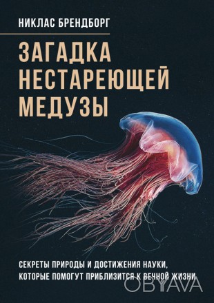 Все мы хотим прожить «до ста лет». Но на нашей планете есть существа. . фото 1