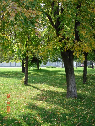 Продам участок земли в пригороде Днепра.. Дніпро. фото 1 Продам участок земли в пригороде Днепра.. Дніпро. фото 1