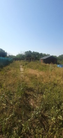 Покос травы,скосить бурьян,стрижка газонов.Качественно и быстро.. Одесса. фото 1 Покос травы,скосить бурьян,стрижка газонов.Качественно и быстро.. Одесса. фото 1