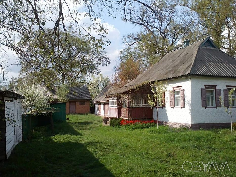 полтавская область село