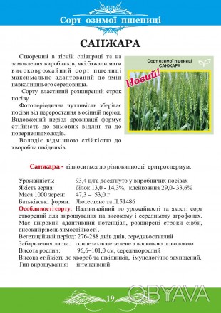 Селекційно-виробничий центр «Яровіт» пропонує Вам елітне насіння пол. . фото 1