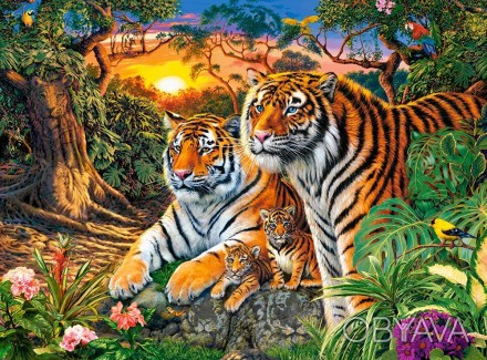 Кастор пазлы 2000 "Семья тигров" C-200825 C-200825 ish 
Отправка товара:
• Срок:. . фото 1