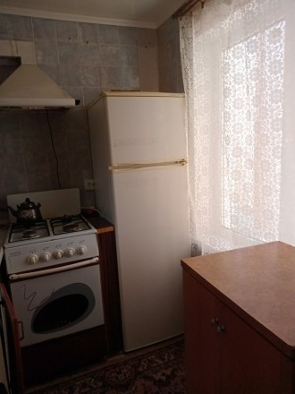 Квартира однокомнатная в ч.с. Удобства, мебель,  стиралка, холодильник, телевизо. . фото 8