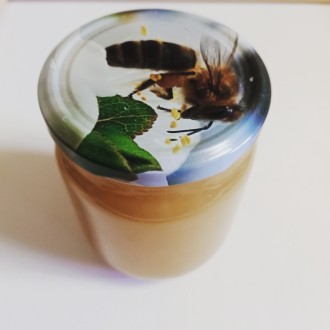 Продам бджолопродукти із власної пасіки.
Мед, забрус, крем-мед.
В наявності ме. . фото 2