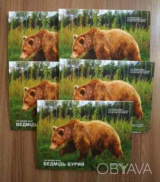 Ведмідь бурий. Чорнобиль. Відродження Монети України
