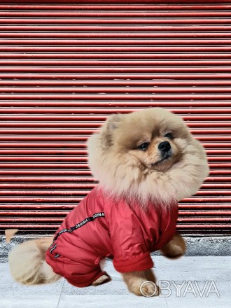 Комбинезон для собак утепленный флисом без капюшона – это идеальный выбор для то. . фото 1