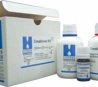 Креатинкиназа (УК) - фермент, осуществляющий преобразование фосфокреатина с обра. . фото 2
