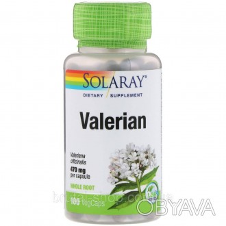Valerian 470mg - натуральный растительный продукт для восстановления нервной сис. . фото 1