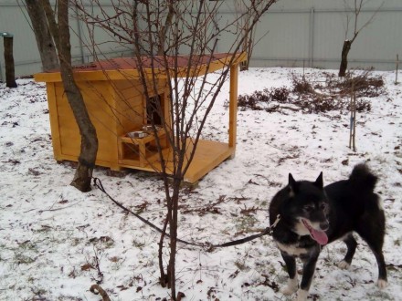 Деревянная будка с навесом для собаки LNK "Аксель", для больших пород (100*120*7. . фото 6