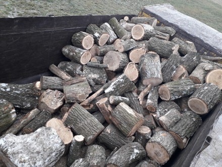 Продам дрова твёрдых пород - дуб, ясень, акация с доставкой по Харькову и област. . фото 3