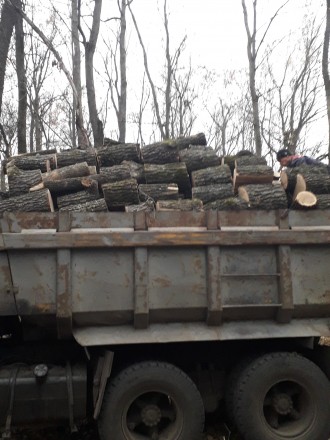 Продам дрова твёрдых пород - дуб, ясень, акация с доставкой по Харькову и област. . фото 2