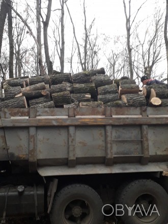 Продам дрова твёрдых пород - дуб, ясень, акация с доставкой по Харькову и област. . фото 1