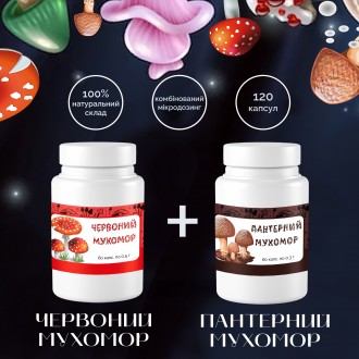 Мухомор красный 60 шт х 0.5 г и Мухомор пантерный 60 шт х 0.3 г КОМПЛЕКТ. Куликівка. фото 1 Мухомор красный 60 шт х 0.5 г и Мухомор пантерный 60 шт х 0.3 г КОМПЛЕКТ. Куликівка. фото 1