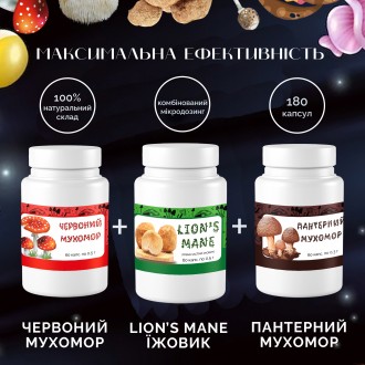 Красный мухомор 60х0.5г и Ежовик гребенчатый 60х0.5г и Пантерный мухомор 60х0.3г. Куликівка. фото 1 Красный мухомор 60х0.5г и Ежовик гребенчатый 60х0.5г и Пантерный мухомор 60х0.3г. Куликівка. фото 1