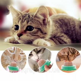 Кошачья мята Лакомство для кошек Catnip Леденец-конфета для котов и кошек с мято. . фото 4