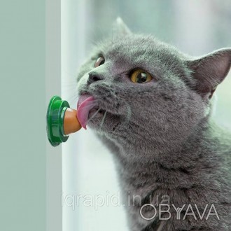 Кошачья мята Лакомство для кошек Catnip Леденец-конфета для котов и кошек с мято. . фото 1