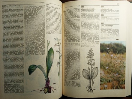 Назва: Лікарські рослини
Тип видання: Енциклопедичний довідник
Редактор: акаде. . фото 10