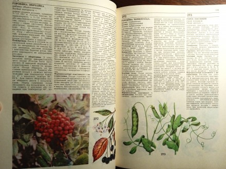 Назва: Лікарські рослини
Тип видання: Енциклопедичний довідник
Редактор: акаде. . фото 9