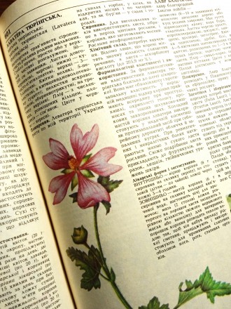 Назва: Лікарські рослини
Тип видання: Енциклопедичний довідник
Редактор: акаде. . фото 12