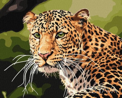 Набір для розпису по номерах. "Зеленоокий леопард" 40х50см 
 
Отправка данного т. . фото 1