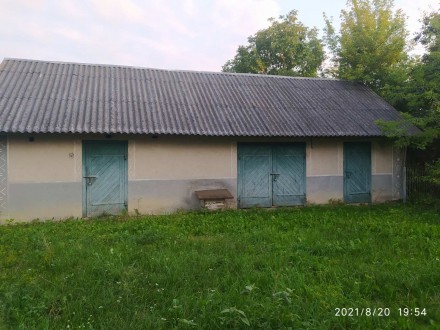 село Нова Пляшева. Ровно. фото 1 село Нова Пляшева. Ровно. фото 1