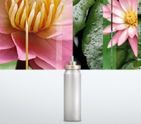 Glade® Sense & Spray® з дизайном 180° пропонує неперевершений аромат, що активує. . фото 11