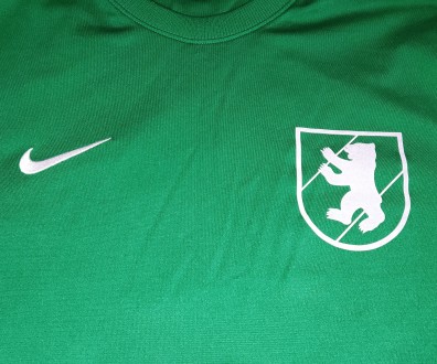 Футбольная кофта Nike FC Brigachtal, размер-L, длина-70см, под мышками-56см, рук. . фото 5