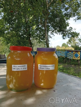 Продам мед (з соняшника та ріпака) як оптом (від 28 кг.= 20л. по 60грн./кг.)так . . фото 1
