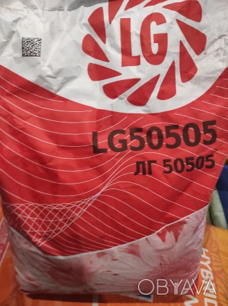 Посевной материал подсолнечника ЛГ 50505 (LG 50505) от производителя Лимагрейн о. . фото 1