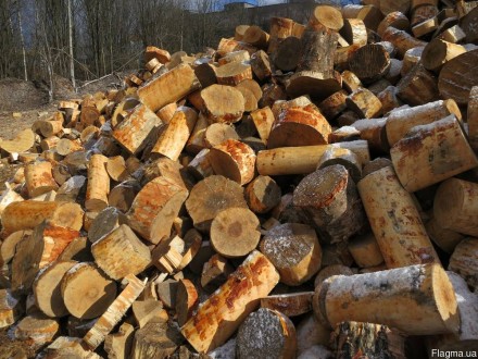 Продам дрова твёрдых пород с доставкой. Г. Днепр и его окрестности. 
Пиляные, к. . фото 5