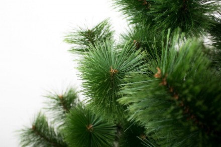 Искусственная елка, сосна, а также гирлянда или венок могут стать хорошей покупк. . фото 4