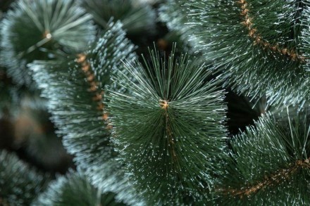 Пухнаста засніжена сосна стане справжнім засвоєнням свята та створить атмосферу . . фото 3