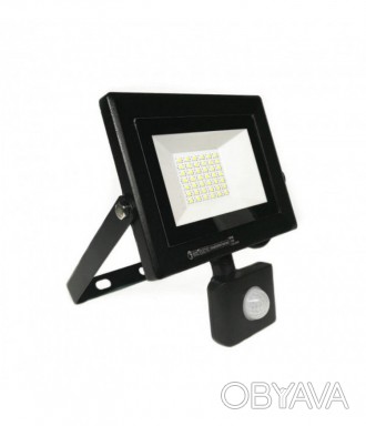    Світлодіодний прожектор PARS/S-30 – якісний світлодіодний світильник для зовн. . фото 1