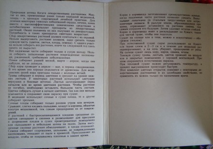 Набор открыток. Издательство Планета. Москва 1983 г. 

Бліц ціна: 129 грн. . фото 4