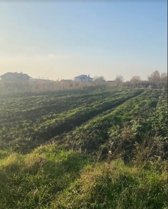 Продаж земельної ділянки під житлову забудову на вулиця Сонячна, площа 8 соток. Кротошин. фото 1 Продаж земельної ділянки під житлову забудову на вулиця Сонячна, площа 8 соток. Кротошин. фото 1