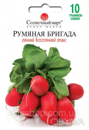 Описание
Яркие и блестящие, эти редиски похожи на любимые детворой конфетки-леде. . фото 1