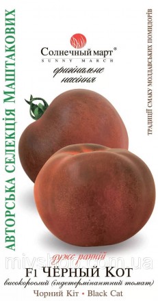 Томат високорослий ранньостиглий Чорний кіт F1 10шт Солнечный март. Лубны. фото 1