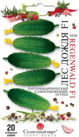 Огірок ранній самозапильний Лес Дождя F1 20шт Солнечный март. Лубны. фото 1