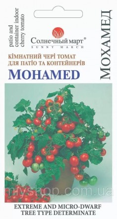Томат карликовий Мохамед 20шт Солнечный март. Лубны. фото 1