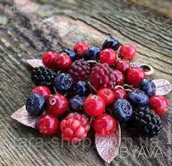 Лесные ягоды- яркий, сочный аромат лесных ягод с едва уловимой кислинкой создаст. . фото 1