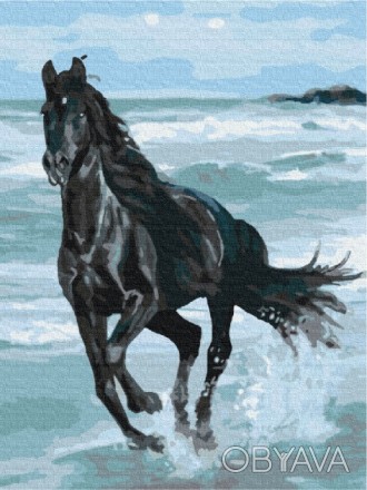 Картина за номерами: Чорний кінь 40*50 Работаем с 2011 годаБлагодаря большому оп. . фото 1