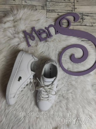 Детские кроссовки Lacoste белые кеды кожаные на шнуровке
Состояние: б/у, в отлич. . фото 1