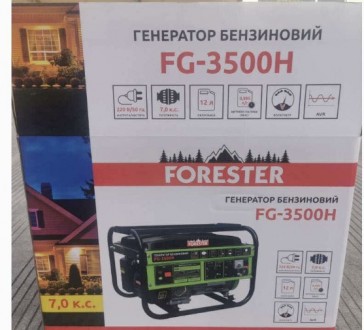 Бензиновий генератор Forester FG-3500H 3.5 кВт. 220V
Масивний електрогенератор з. . фото 4