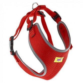  If you like doing a little sport in your four-legged friend's company, the Niki. . фото 3