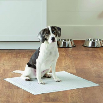 Одноразові, гігієнічні пелюшки для собак і цуценят Croci Super nappy допоможуть . . фото 5