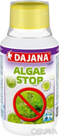 Dajana Algae Stop - Ефективний засіб від більшості зелених водоростей, що плаваю. . фото 1