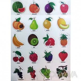 Набор из 20-ти магнитов с фруктами и ягодами на листе размером 39х30 см. Каждый . . фото 1