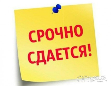 Сдам 3х комнатную квартиру на Парусе -1й етаж,комнаты раздельные ,жилое ,мебель,. Петровского просп.. фото 1